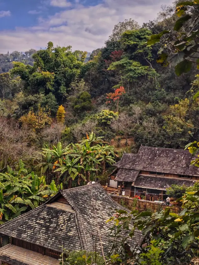 冬休みプーアル3日間ツアー 絶景を満喫