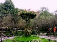2 Brilliant Days in Magnificent Chengdu: Discovering Sichuan Culture