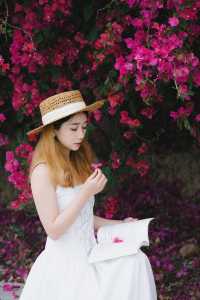 在廣東終於找到如此火紅的簕杜鵑瀑布