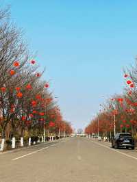週末遛娃好去處｜永城日月湖公園！