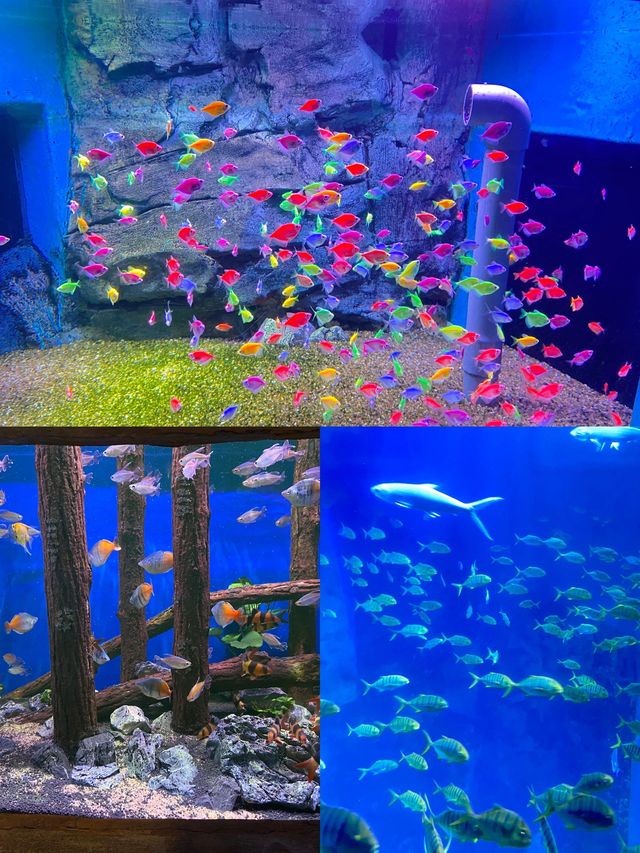 帶娃去威海海灘玩水別錯過這份攻略
