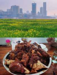 2025南昌油菜花海要開啦！快來打卡！