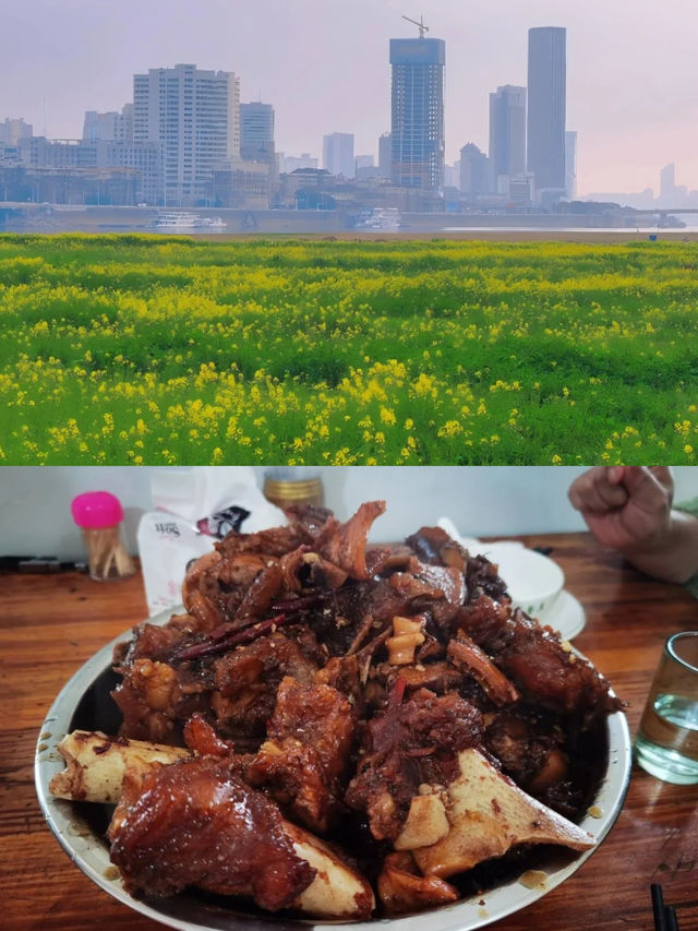 2025南昌油菜花海要開啦！快來打卡！