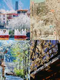3-4月旅行天花板，美得像墜落凡間的畫。