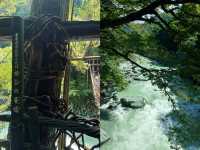探秘日本德島祖谷蔓橋｜穿越歷史的藤蔓之約