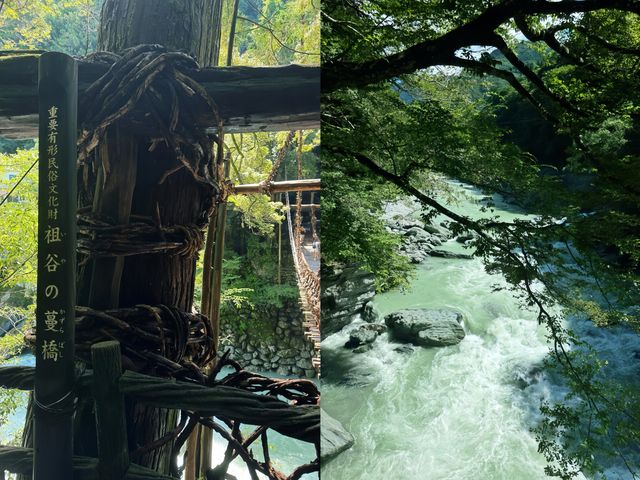 探秘日本德島祖谷蔓橋｜穿越歷史的藤蔓之約