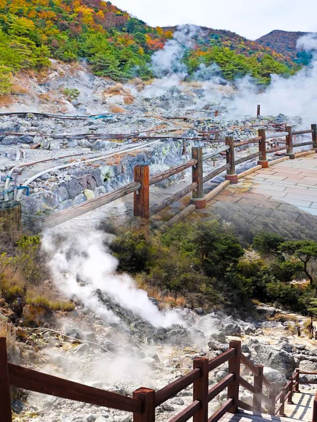雲仙市，呢座仙境之城嘅神秘面紗等你嚟揭開！
