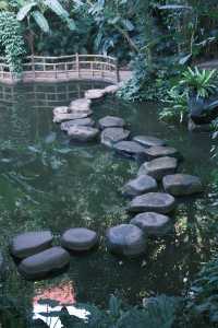 廈門必去 植物園 四季都有不同的美