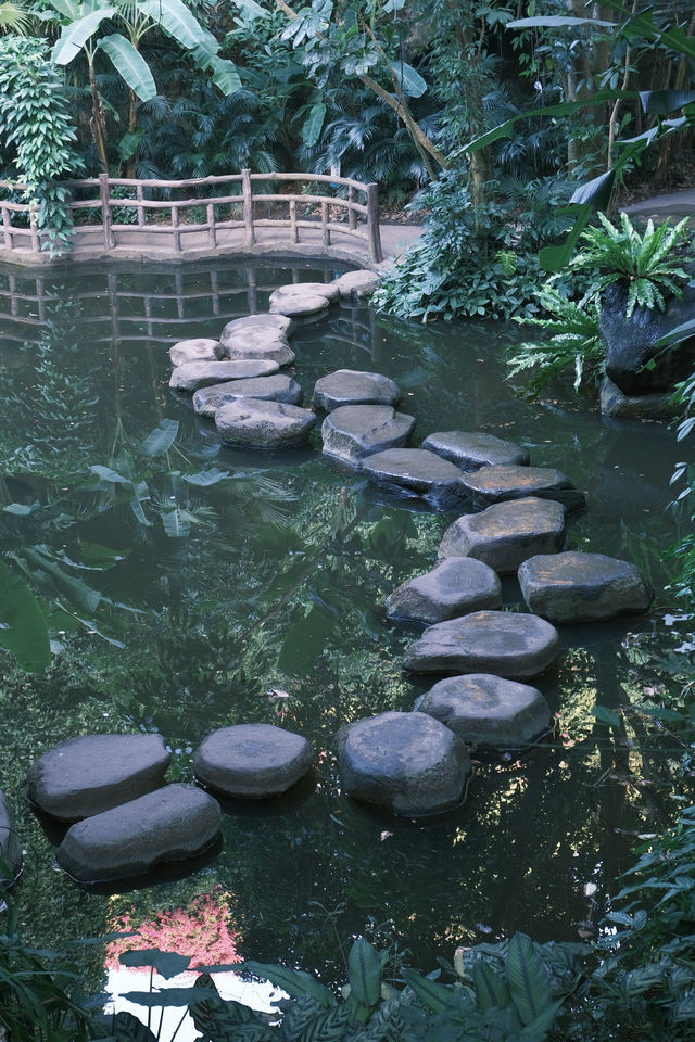 廈門必去 植物園 四季都有不同的美