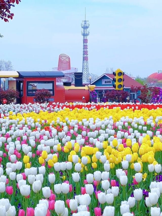 春天的鹽城！現實版莫奈花園賞花攻略