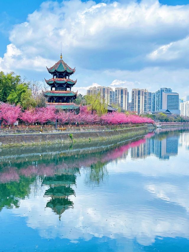 【成都人私藏！呢個公園令我徹底愛上獨處，連周杰倫都嚟打卡