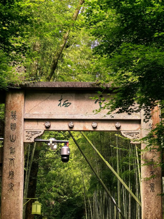 雲棲竹徑｜一場與自然嘅私密對話