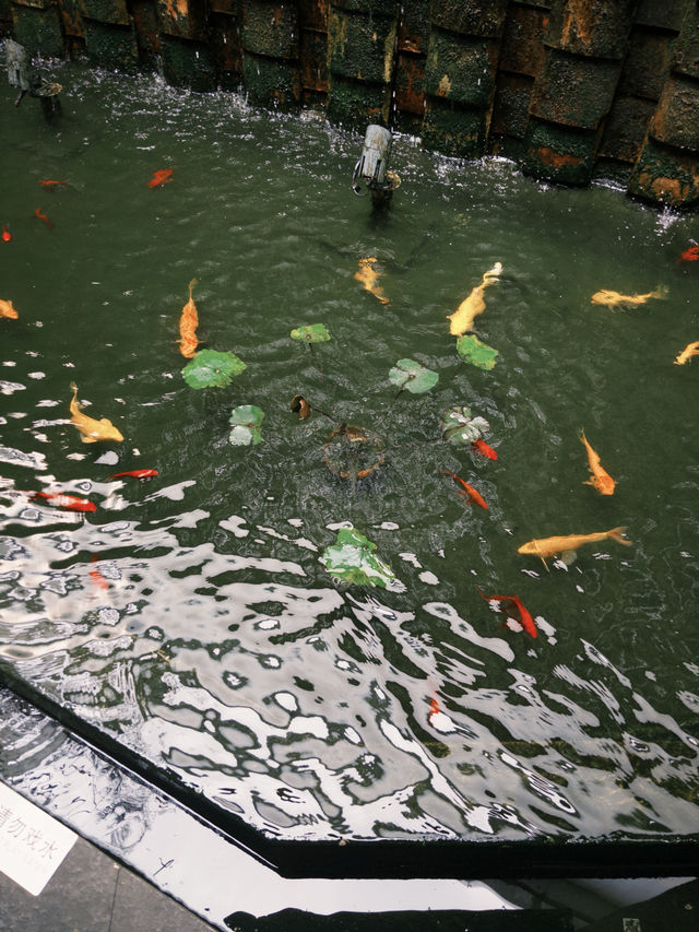 順德｜華德里