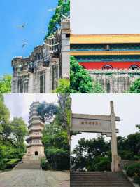 鐘山風景獨好，一覽眾山美景如畫。