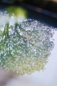 預測下一個爆紅的地方