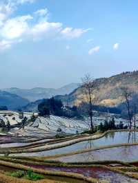 5日暢遊文山壯族苗族自治州等地 超詳細攻略不踩雷