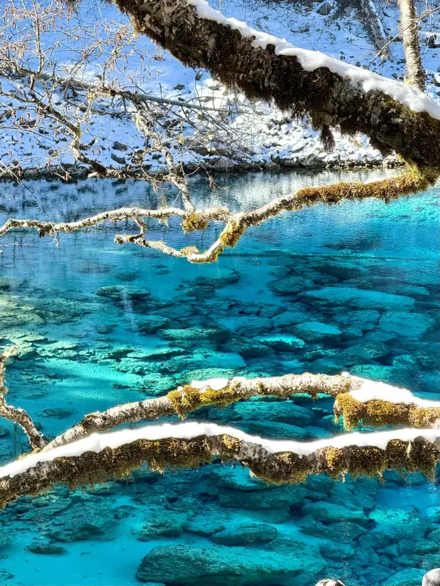A 5-Day Jiuzhaigou Itinerary for Qingming Festival