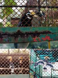 胡志明西貢動物園及其周邊