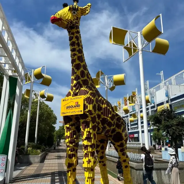 大阪🐠海遊館!全指南帶你玩轉海底世界~