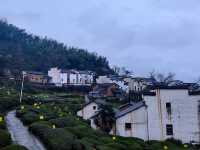 尋找徽州下一個旅行目的地，休寧金龍山