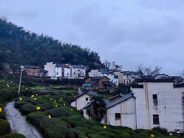 尋找徽州下一個旅行目的地，休寧金龍山