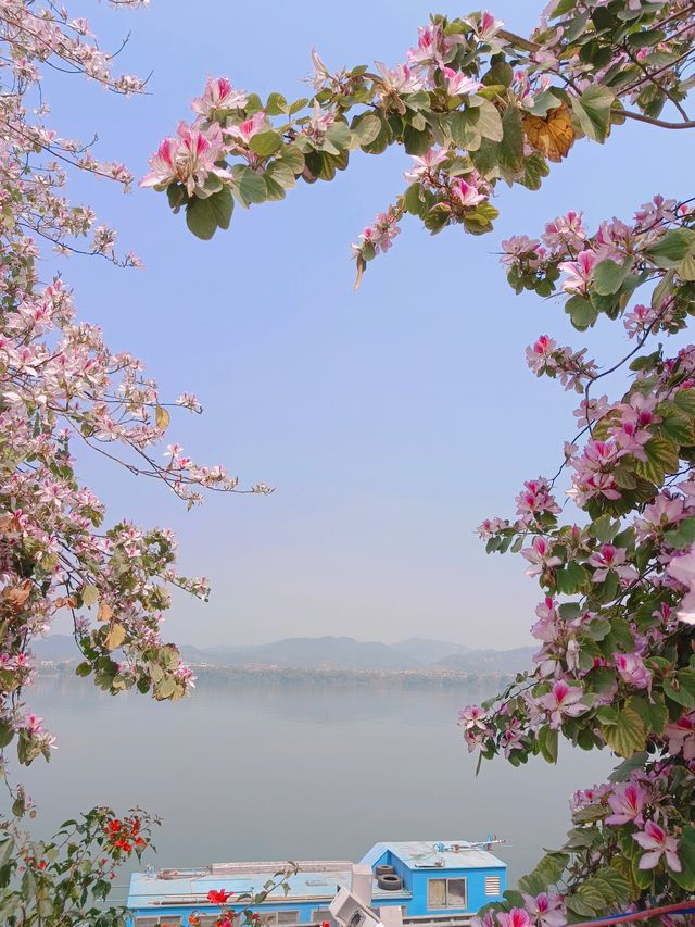 三月三就去西江鼓浪嶼