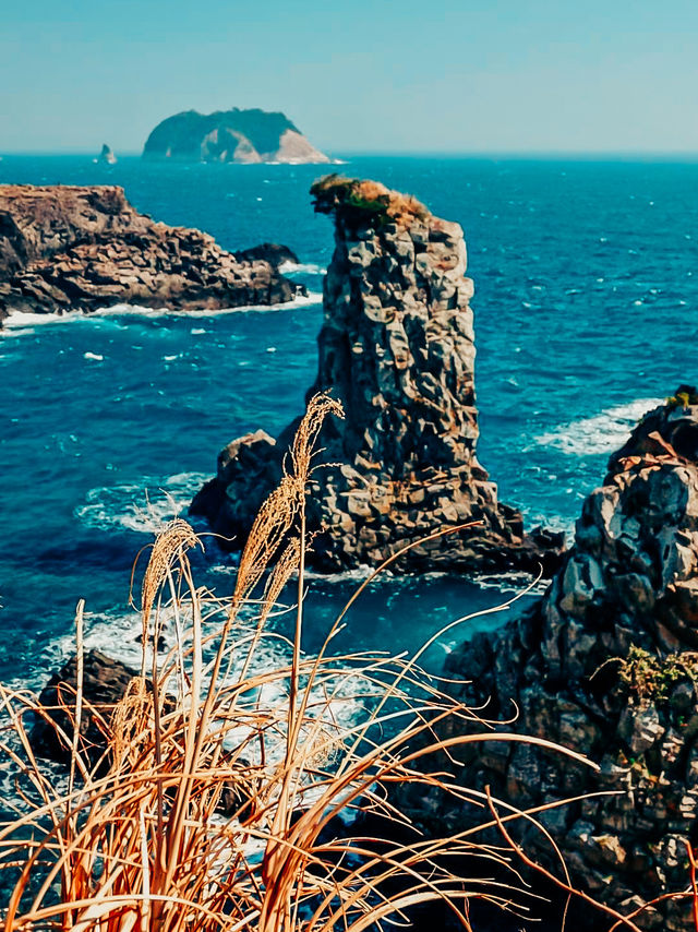 清明節去西歸浦賞油菜花 | 韓國濟州島