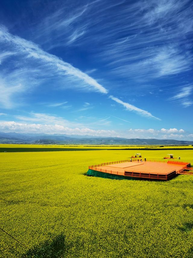 6日暢遊海北等地 玩轉美景不踩坑 6日暢遊海北等地 玩轉美景不踩坑