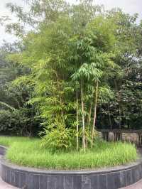 南非12日深度遊 超詳細攻略不踩雷