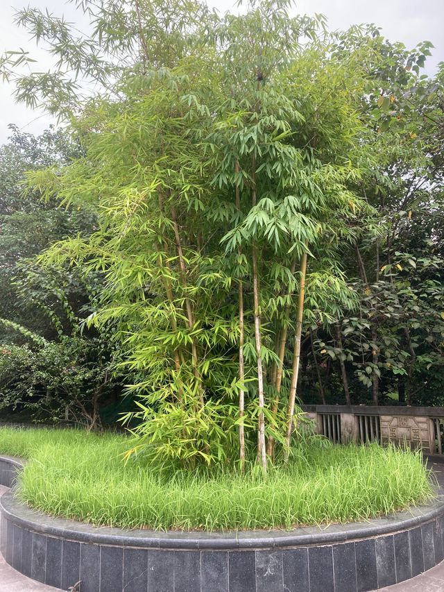 南非12日深度遊 超詳細攻略不踩雷