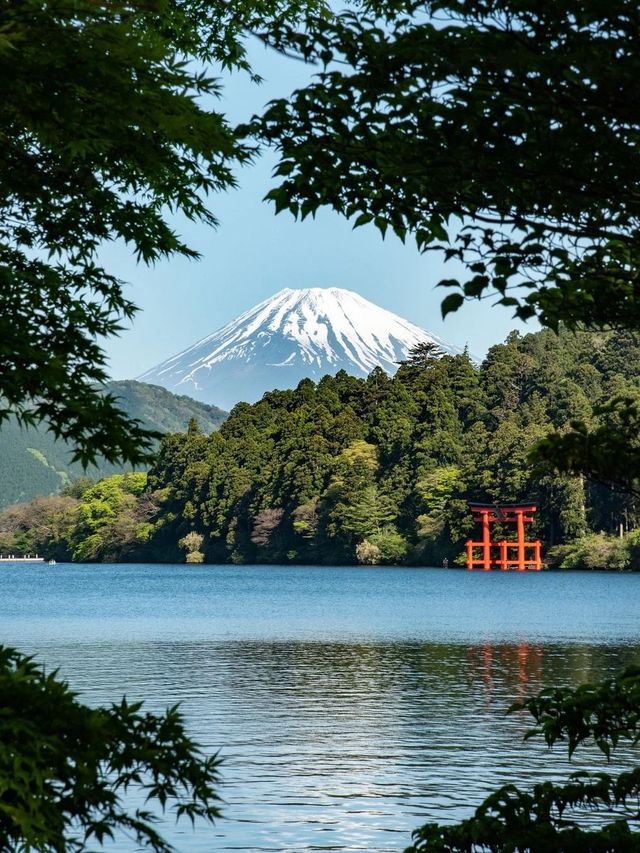 日本7日親子遊 超詳細攻略來啦