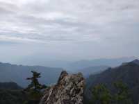藍田王順山森林公園|秦嶺“小黃山”