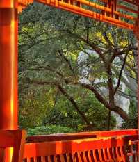 春天嘅格調就係咁靚～淄博人民公園打卡