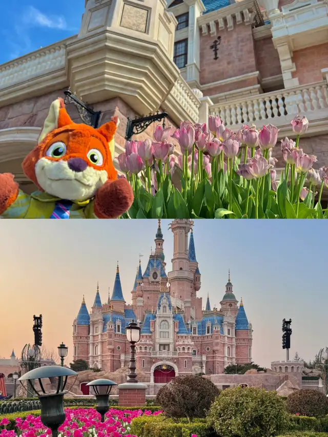 上海ディズニーランド🫧は、下調べをせずに訪れる人を容赦なく罰します。