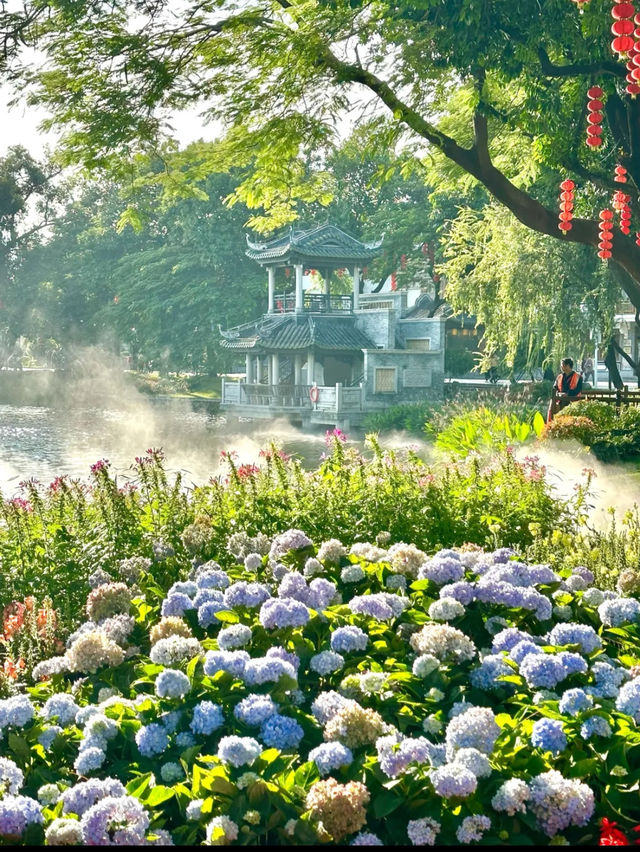 Liwan lake park blossoms 