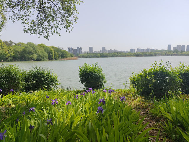合肥翡翠湖迎賓館，不愧是國賓館
