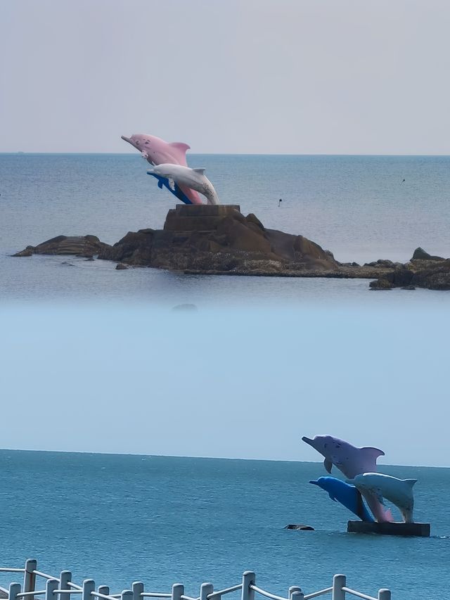 中華白海豚 & 鯨魚旅遊指南