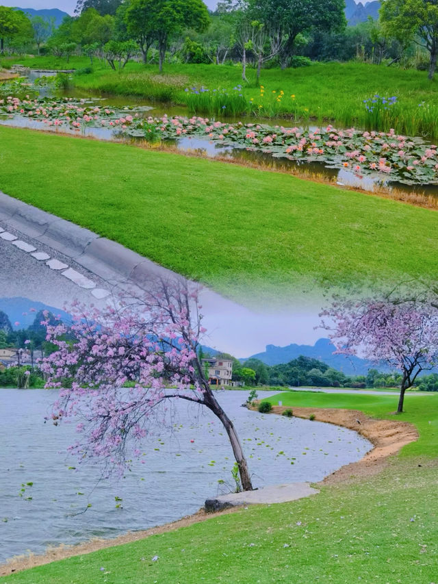 不花門票也能get北歐同款草坪山景？實地測評來了！
