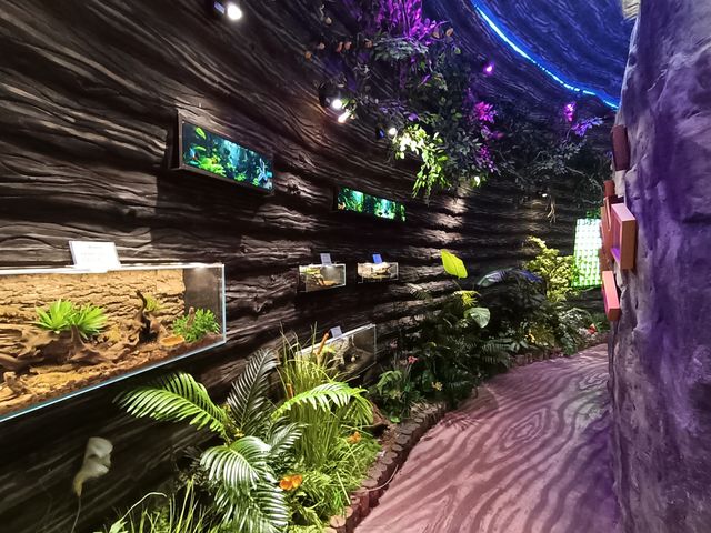 太陽河原始森林公園