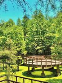 在43度高溫下，週末的青山湖顯得格外寧靜。
