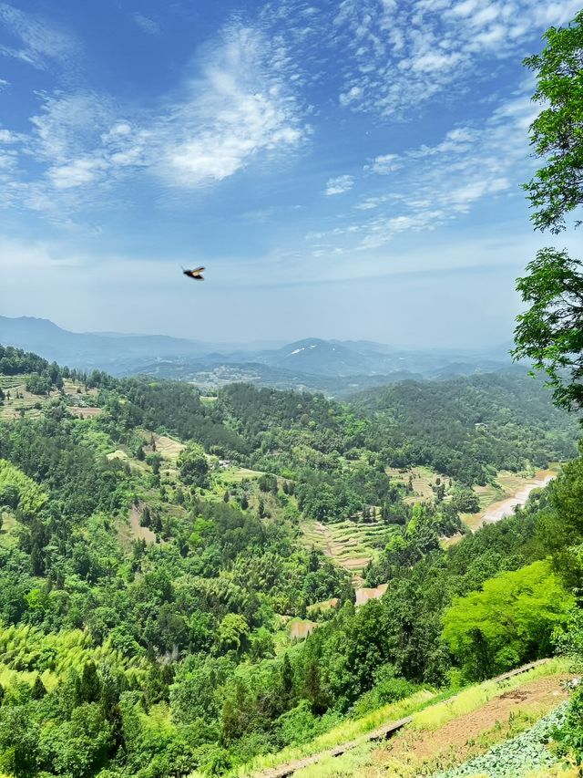 四面山真係太靚啦