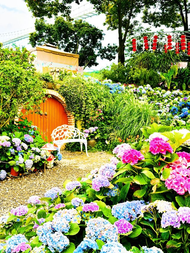 漫花莊園 | 闖入現實版莫奈花園，美到犯規