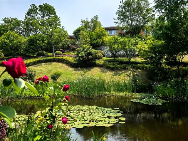 養眼養肺養心~~天目湖涵田度假村養心谷
