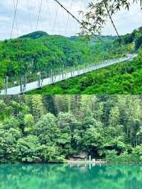 闖進萬畝竹海！這片竹海承包了整個夏天的清涼