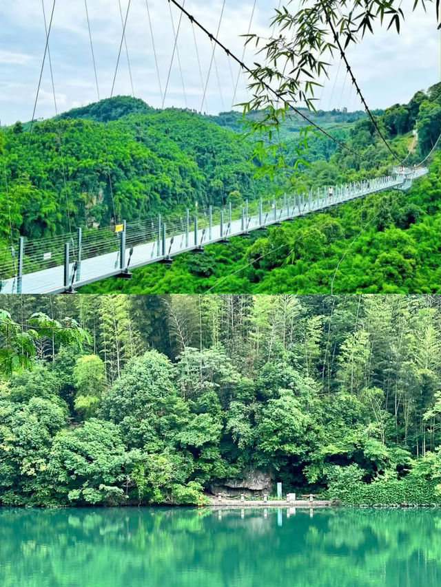 闖進萬畝竹海！這片竹海承包了整個夏天的清涼