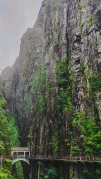 雨中漫步莽山：霧靄深處的奇幻仙蹤