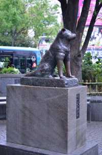 東京澀谷中心嘅舒適東武酒店
