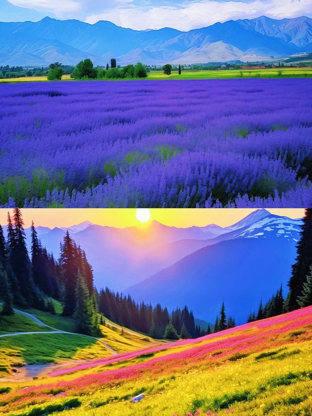 紫色天堂·芳香霍城——探秘中國「薰衣草之鄉」的浪漫之旅