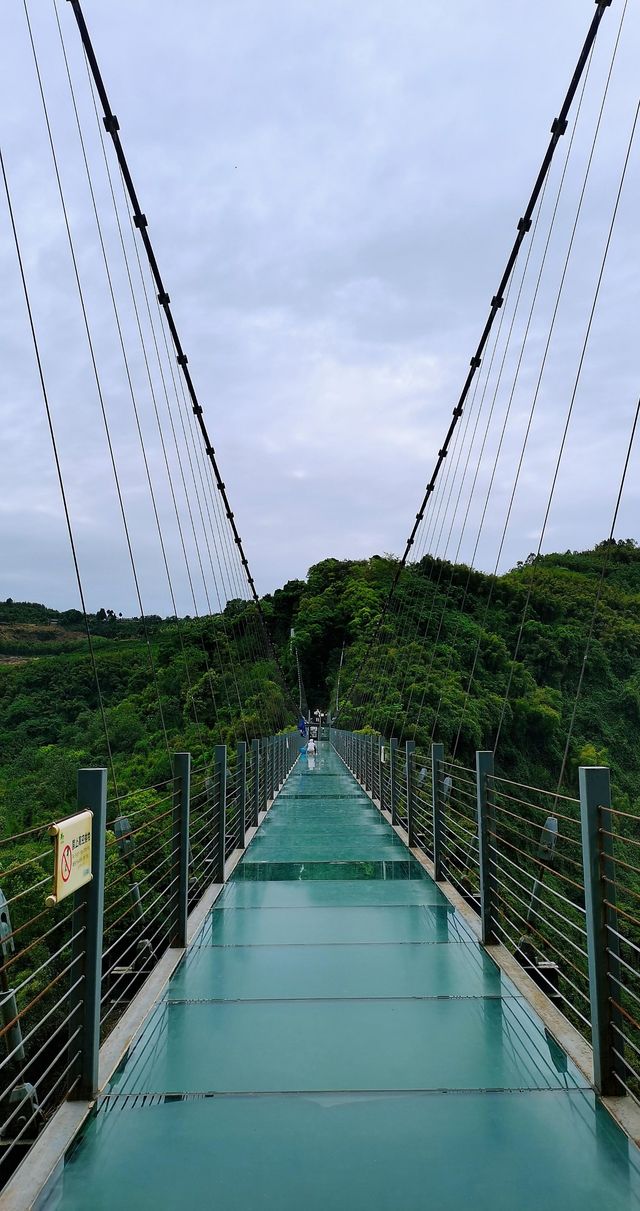 川西竹海|25℃綠意秘境清涼之旅全指南
