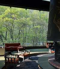 住進春天的青森山林